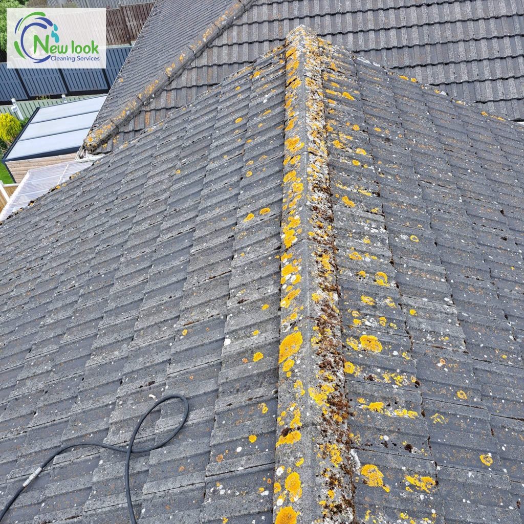 Before cleaning the roof with lichen and moss on it